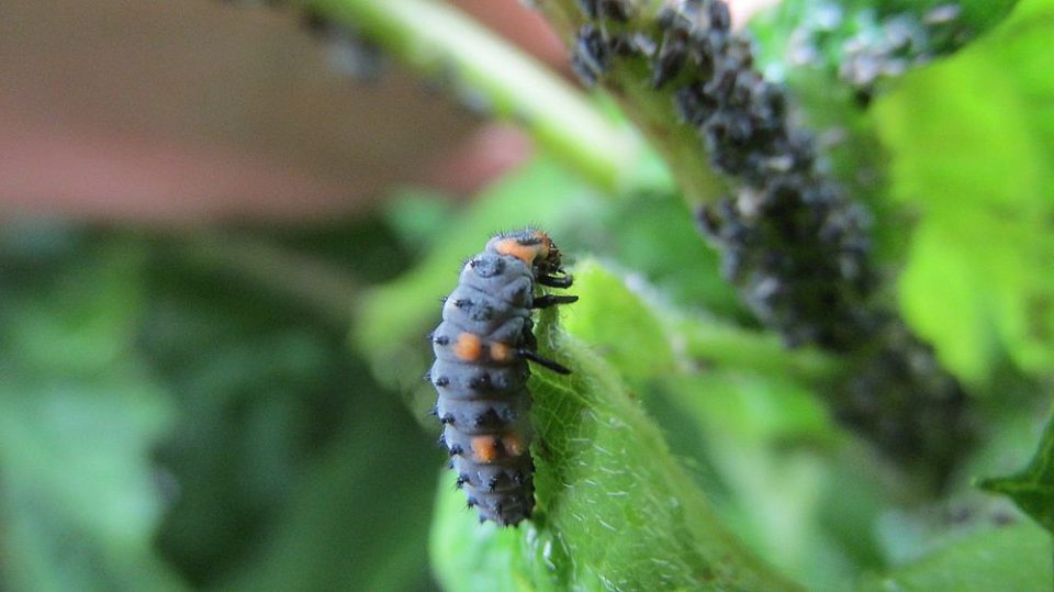 Ungewöhnlich Ungewöhnlich